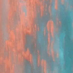 Meet your Posher, Zaida